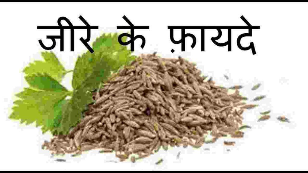 Cumin Seeds in Hindi
