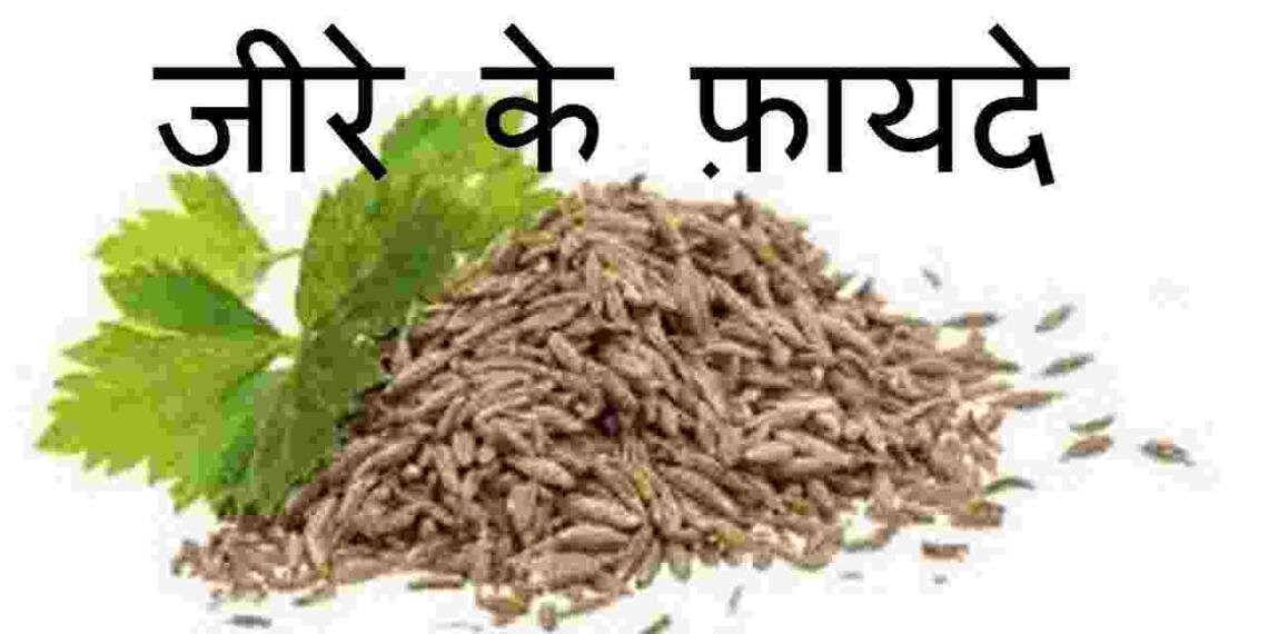 Cumin Seeds in Hindi
