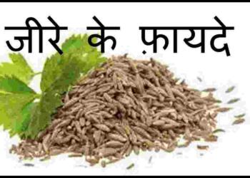 Cumin Seeds in Hindi