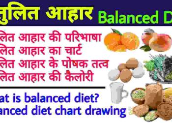 Santulit aahar kise kahate hain