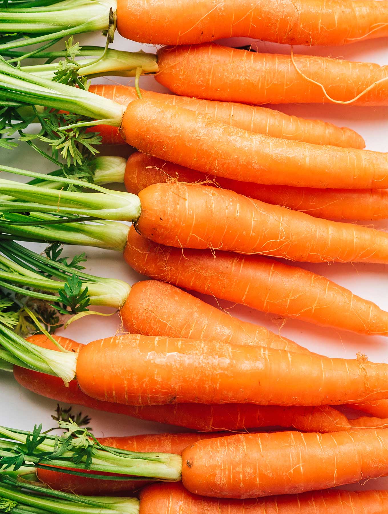 carrot-on-white-vert