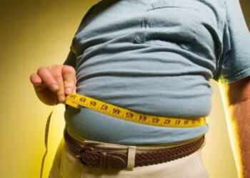 मोटापा, मोटापे का स्तर, भारत, भारत में मोटापे का स्तर बढ़ा