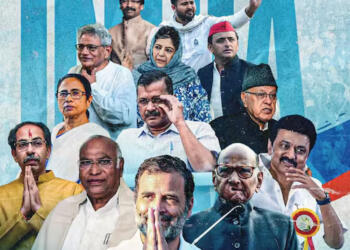 इंडिया, दिल्ली हाईकोर्ट, लोकसभा चुनाव 2024, भाजपा, विपक्षी पार्टियां