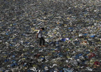 प्लास्टिक, प्रदूषण, पर्यावरण, पर्यावरणीय मुद्दा,