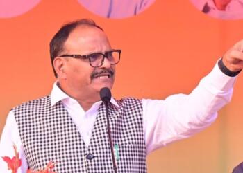 ‘मुसलमानों का हाल बिरयानी के तेजपत्ते जैसा’: ‘चाटकर प्लेट से बाहर कर दिया’… ब्रजेश पाठक बोले- सपा ने आपको यही समझा