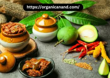 आम के अचार के फायदे : आम के अचार का परिचय