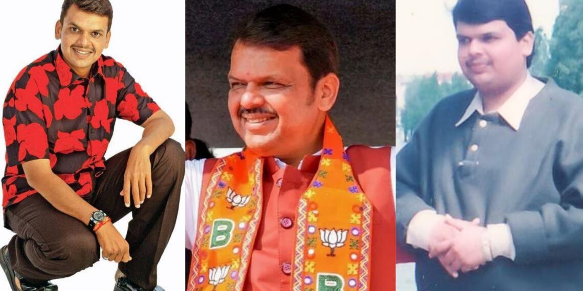 2006 में उन्होंने विधायक रहते हुए नागपुर शहर में एक कपड़े की दुकान के लिए मॉडलिंग की थी