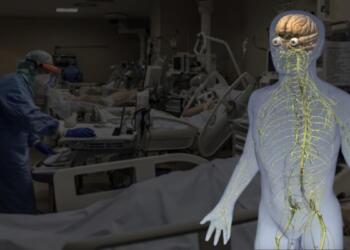 गुइलेन-बैरे सिंड्रोम में शरीर की प्रतिरक्षा प्रणाली ही परिधीय तंत्रिका तंत्र पर हमला करने लगती है