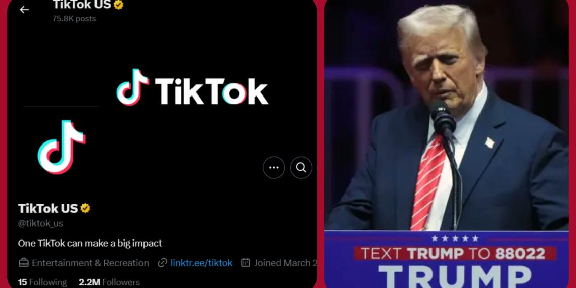 TikTok Is Back In USA