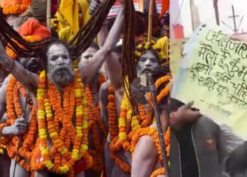 महाकुंभ नागा साधु