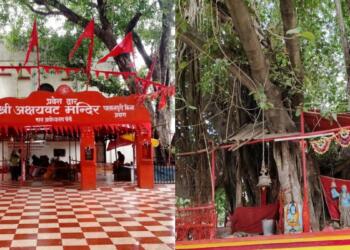 अक्षय वट प्रयागराज महाकुंभ