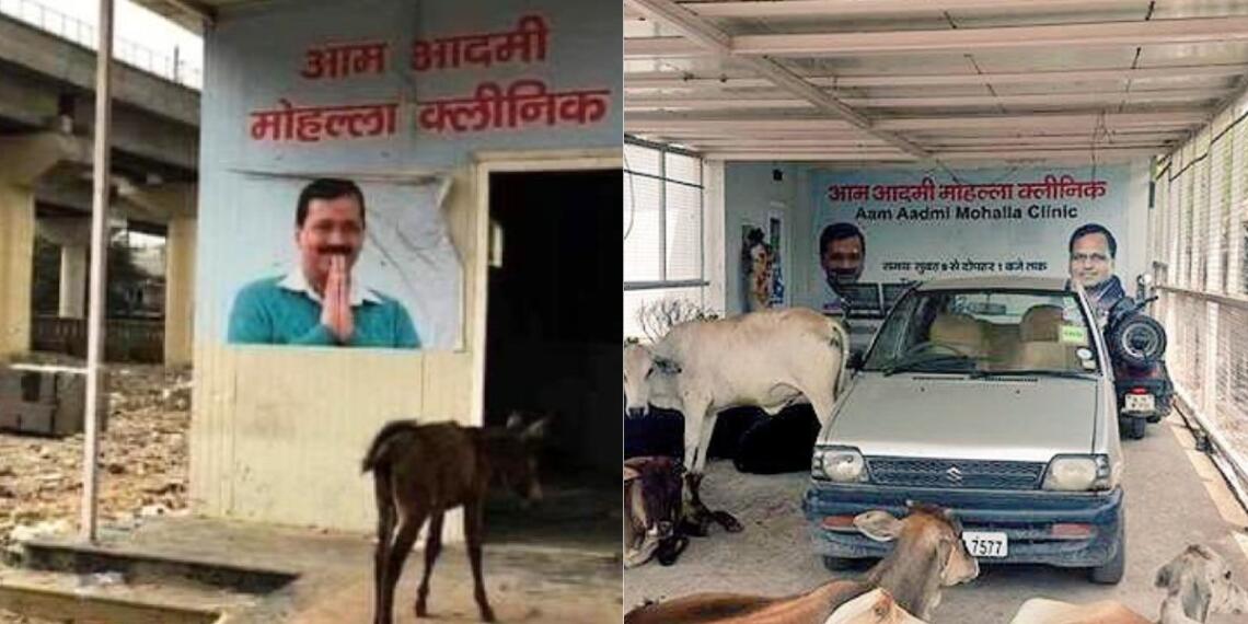 दिल्ली CAG रिपोर्ट दवा