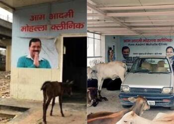दिल्ली CAG रिपोर्ट दवा