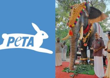 PETA, हाथी, केरल का मंदिर