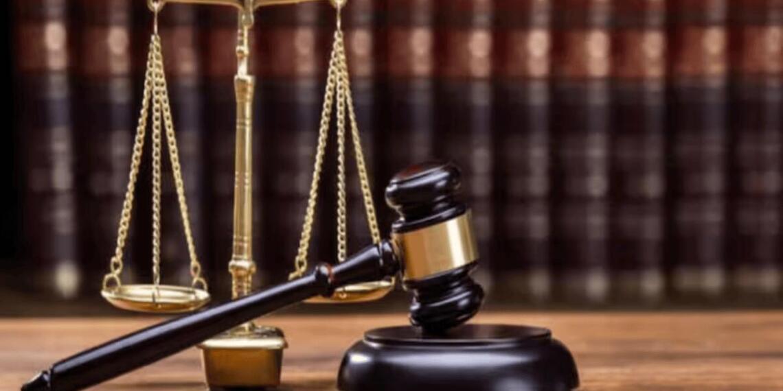 महिला ने जजों को बताया ‘कुत्ता माफिया’ का हिस्सा, हाई कोर्ट ने सुनाई एक हफ्ते जेल की सज़ा