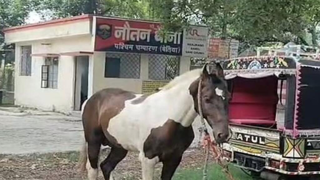 पुलिस घोड़े को बना लाई मुलज़िम