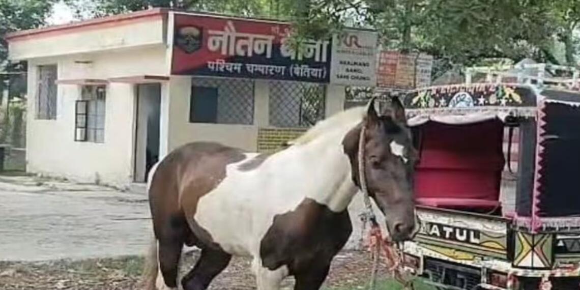 पुलिस घोड़े को बना लाई मुलज़िम