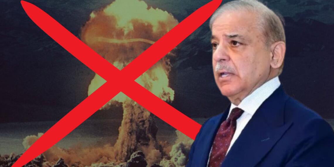 India Pakistan Ceasefire