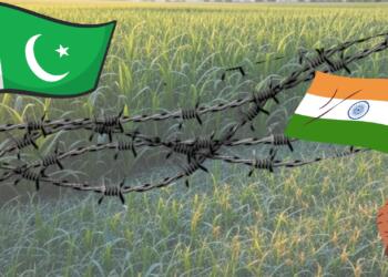 Pakistan Conspiracy Behind Crop Near Border