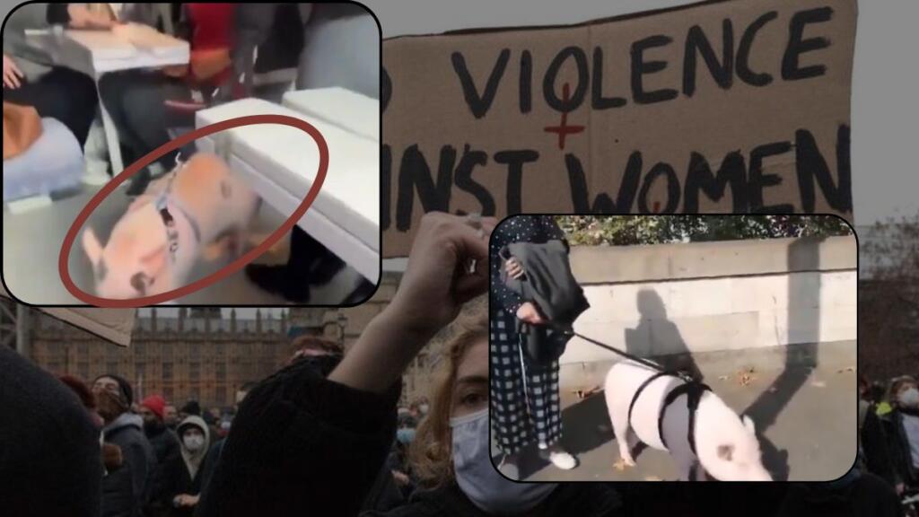 France Viral video