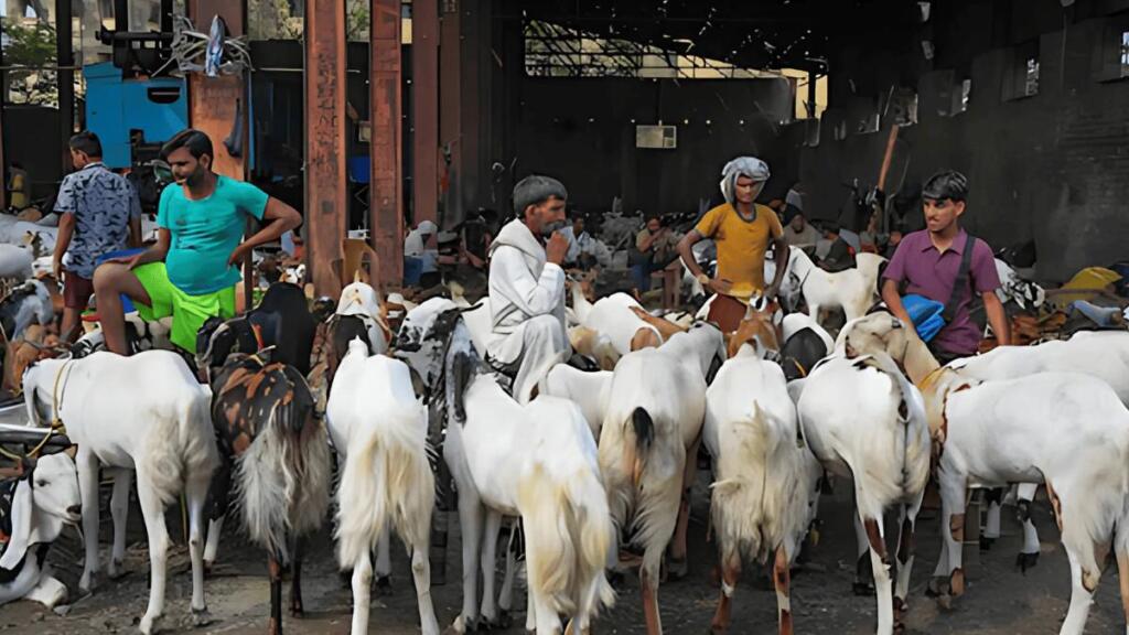 बकरीद पर दिल्ली सरकार की विशेष एडवाइज़री