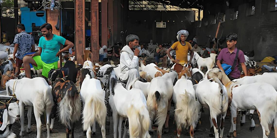 बकरीद पर दिल्ली सरकार की विशेष एडवाइज़री
