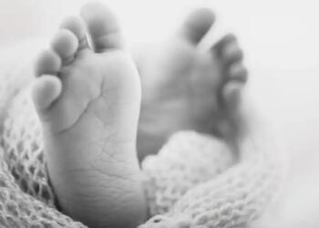 महाराष्ट्र में चलती बस में जन्मा बच्चा, मां ने खिड़की से फेंका बाहर- मौके पर मौत