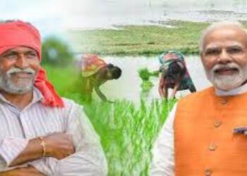 प्रधानमंत्री धन-धान्य कृषि योजना: ₹24,000 करोड़ का बजट निर्धारित, 100 कृषि जिलों के विकास का संकल्प