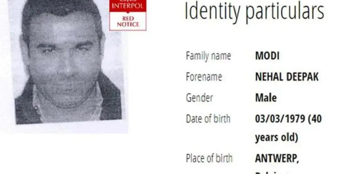 निहाल मोदी