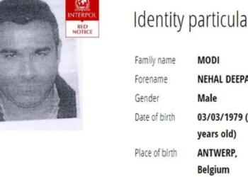 निहाल मोदी