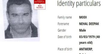 निहाल मोदी