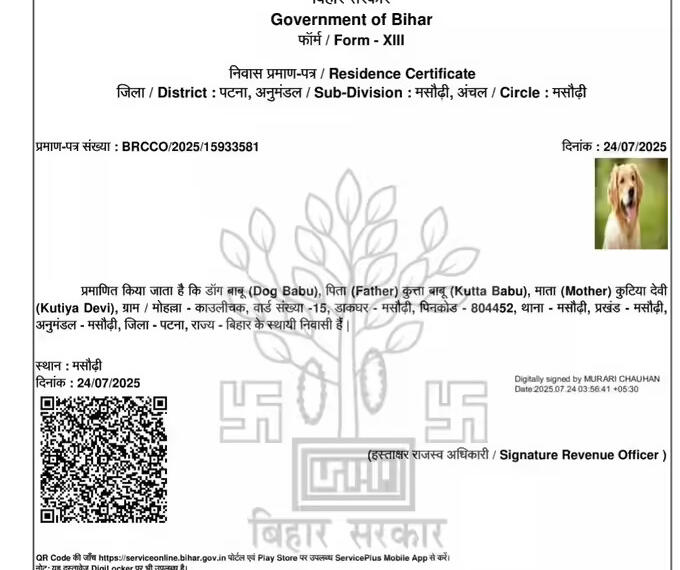 'कुत्ता बाबू' की संतान 'डॉग बाबू': बिहार में सरकारी प्रमाणपत्र बना मज़ाक