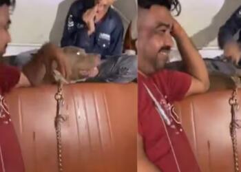 मुंबई में पालतू कुत्ते को बनाया ‘हथियार’- सोहेल खान ने पिटबुल से कराया 11 साल के बच्चे पर हमला