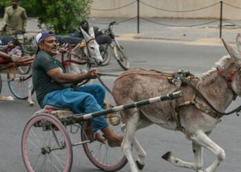 पाकिस्तान बना डोनकिस्तान- स्वतंत्रता दिवस पर पाकिस्तान ने की गधों की रेस, सोशल मीडिया पर बना मज़ाक