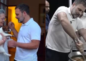 सुप्रीम कोर्ट के कुत्तों पर फैसले: राहुल और चिदंबरम में मतभेद