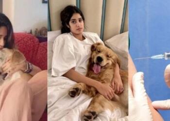 जान्हवी कपूर से वरुण धवन तक: SC के कुत्तों के आदेश पर सेलिब्रिटी टूलकिट अभियान और वैक्सीन लॉबी?