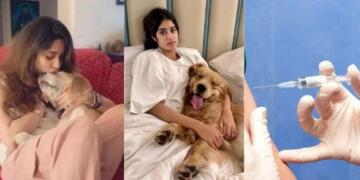 जान्हवी कपूर से वरुण धवन तक: SC के कुत्तों के आदेश पर सेलिब्रिटी टूलकिट अभियान और वैक्सीन लॉबी?