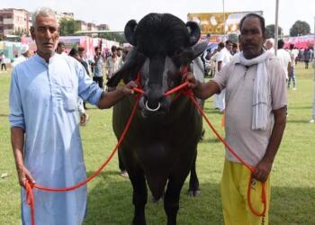 वैसे 'विधायक' की दिनचर्या भी किसी सुपरस्टार से कम नहीं है।