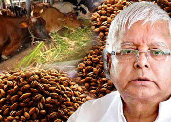 Bihar Files: एक IAS अधिकारी और 9,50,00,000,00 करोड़ का वो ‘चारा घोटाला’, जिसकी वजह से प्रधानमंत्री बनते-बनते रह गए लालू यादव