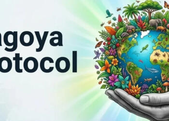 भारत नागोया प्रोटोकॉल के तहत बायोडायवर्सिटी (जैव विविधता) अनुपालन प्रमाणपत्रों में दुनिया में सबसे आगे है