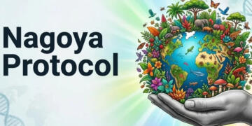 भारत नागोया प्रोटोकॉल के तहत बायोडायवर्सिटी (जैव विविधता) अनुपालन प्रमाणपत्रों में दुनिया में सबसे आगे है