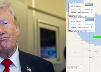 Indian navy in hormuz and trump