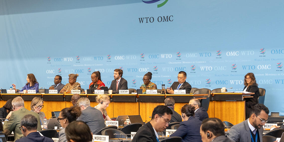 WTO बैठक में भारत की मजबूत पैरवी : न्यायसंगत और विकास-केंद्रित वैश्विक व्यापार ढांचे पर जोर