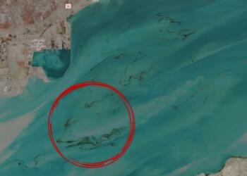 होर्मुज का ‘काला समंदर’: अंतरिक्ष से दिखा तेल का महाविनाश, बेगुनाह जीवों की चीखें और 10 करोड़ लोगों की प्यास का भयावह संकट