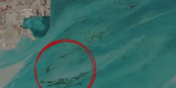 होर्मुज का ‘काला समंदर’: अंतरिक्ष से दिखा तेल का महाविनाश, बेगुनाह जीवों की चीखें और 10 करोड़ लोगों की प्यास का भयावह संकट