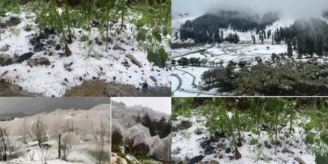 हिमाचल में कुदरत के दो रंग: कहीं ओलावृष्टि से फसलों पर आफत, तो कहीं तपती गर्मी के बीच स्कूलों का बदला समय