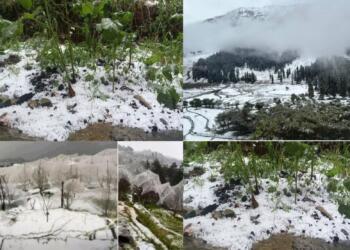 हिमाचल में कुदरत के दो रंग: कहीं ओलावृष्टि से फसलों पर आफत, तो कहीं तपती गर्मी के बीच स्कूलों का बदला समय