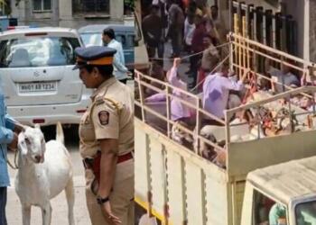 बकरीद से पहले BMC का बड़ा फैसला