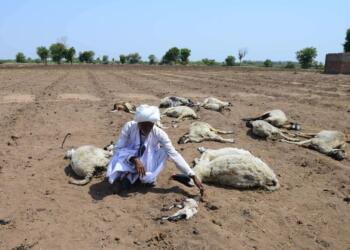 नौतपा शुरू: 9 दिनों तक पड़ेगी भीषण गर्मी, रोहिणी नक्षत्र में सूर्य के प्रवेश से बढ़ेगा तापमान