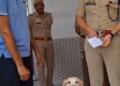 संभल जिले में पुलिस के डॉग स्क्वॉड की सदस्य मैरी ने एक ब्लाइंड रेप केस सुलझाने में अहम भूमिका निभाई